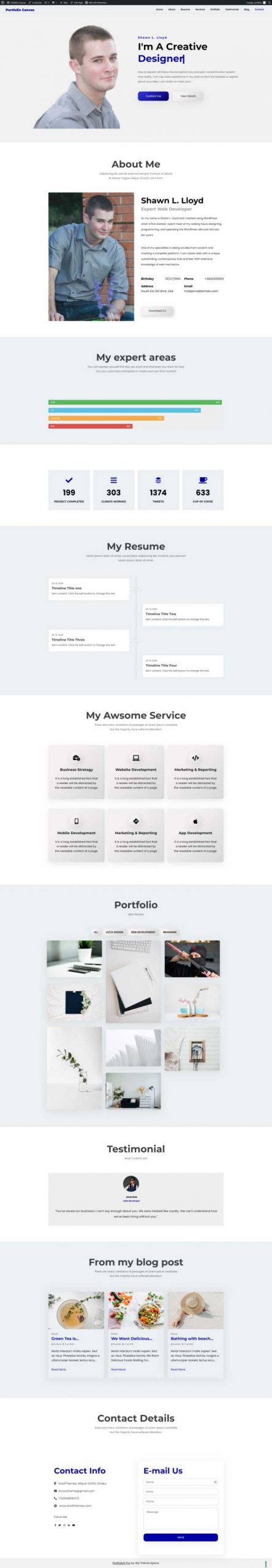 Portfolio Canvas demo light